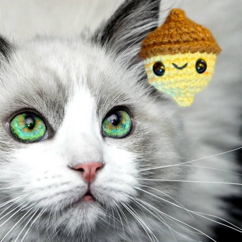 Lifestyle image of Augie the Acorn Chunkle Puff silvervine cat toy with longhaired green eyed cat