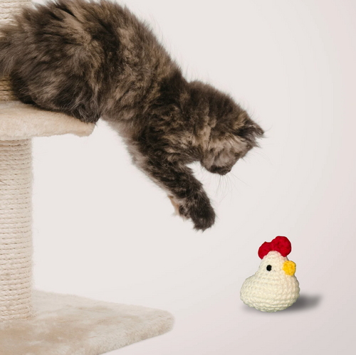 Cat Toy Hen With Cat. Cabbage the Hen, a small white hen-shaped Chunkle with a red comb and yellow beak, placed near a fluffy tabby cat reaching down from a cat tree in a playful scene.