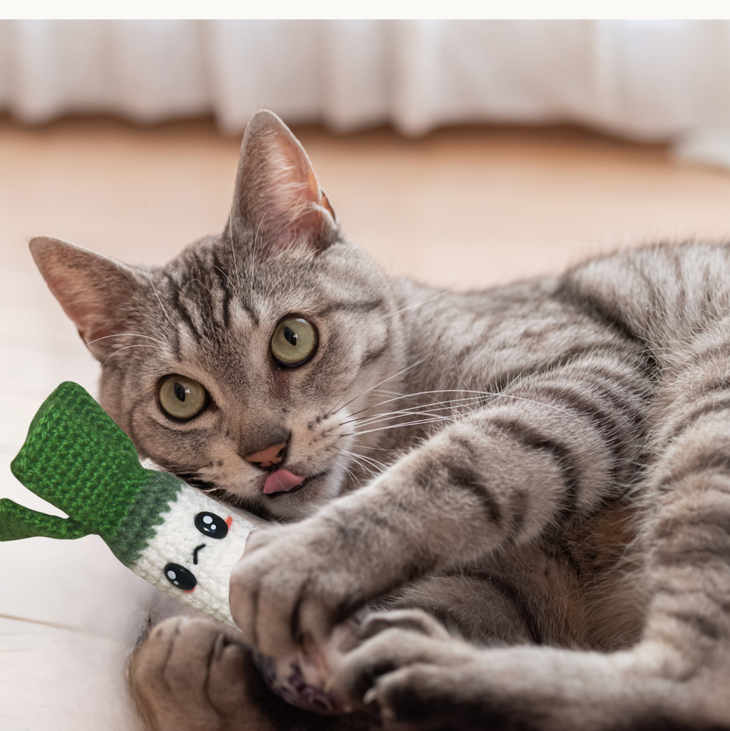 tabby cat gripping woven leek cat toy infused with silvervine, valerian, and gall fruit botanical catnip alternative encouraging feline hunting instinct and indoor cat enrichment