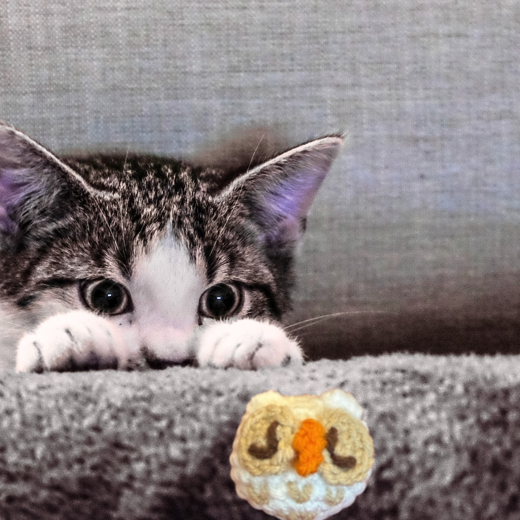 Kitten peering over couch arm at snow owl shaped woven cat toy, Miracle Nip botanical independent play cat toy by Feline Grove
