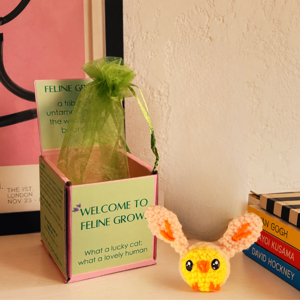 Cat toy chick in rabbit costume. Wally the Chick artisan cat toy in soft yellow and cream yarn with long ears, displayed beside Feline Grove gift box and green organza pouch; small, plush, hand-woven texture shown in packaging presentation.