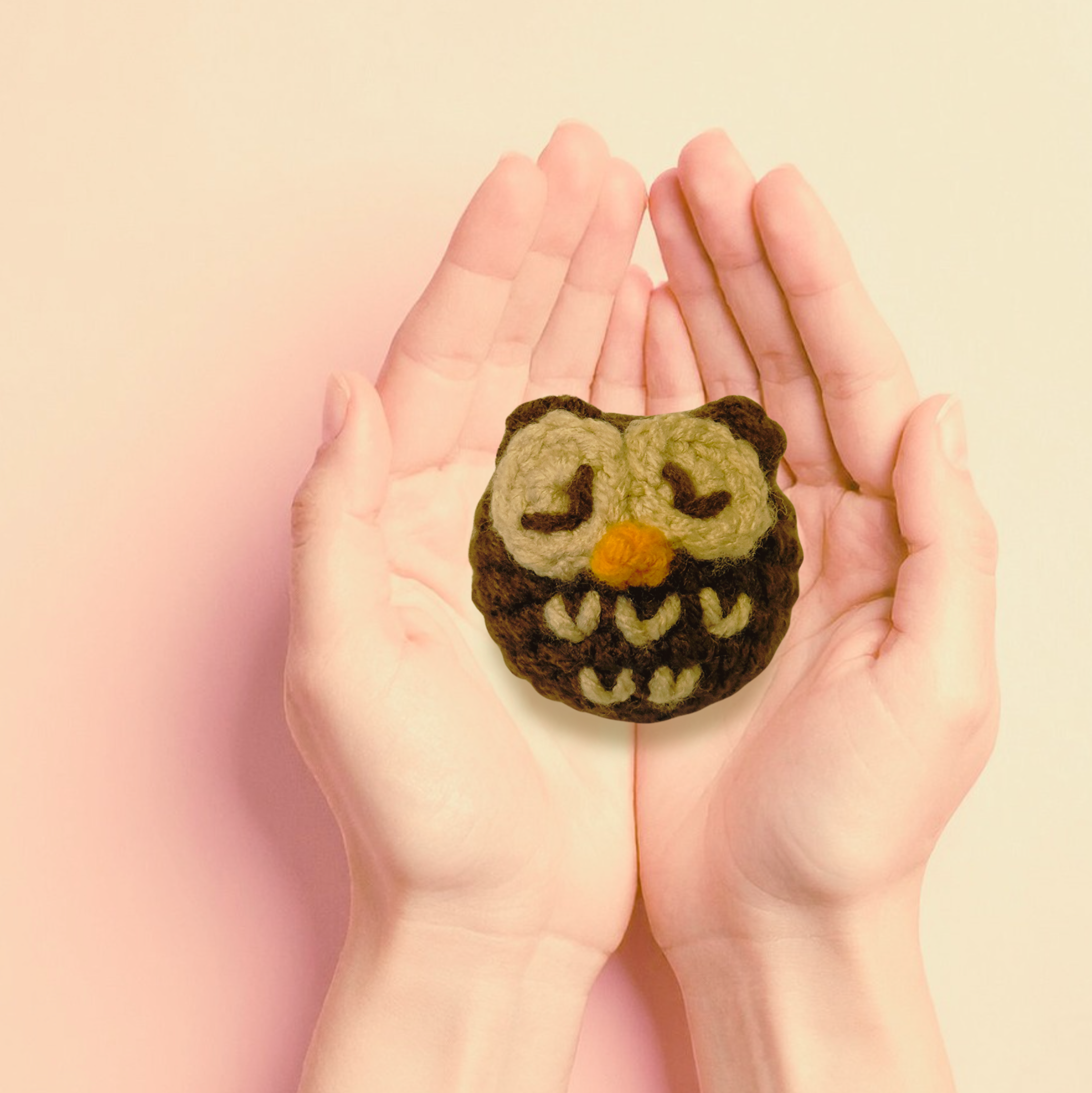 Biscuit the pygmy owl cat toy held in cupped hands to show size of toy
