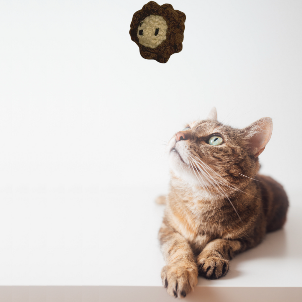 Multi-angle view of hedgehog cat toy set Dan and Nina showing textured woven construction, artisan botanical cat toys for indoor cats, luxury enrichment toys designed for independent play and scent-driven stimulation