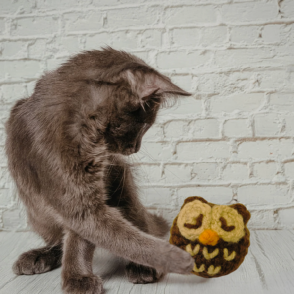 Catnip alternative cat toy owl. Grey long haired kitten playing with owl shaped valerian cat toy by Chunkle & Puff in front of white brick wall.