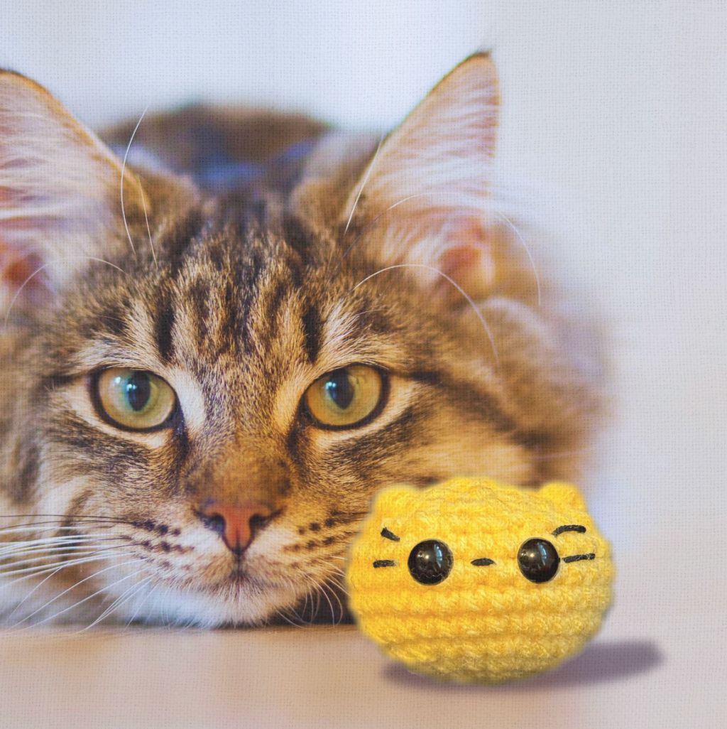 Very handsome cat with Pippa the Chonk, a round yellow weighted Chunkle Chunk catnip alternative cat toy