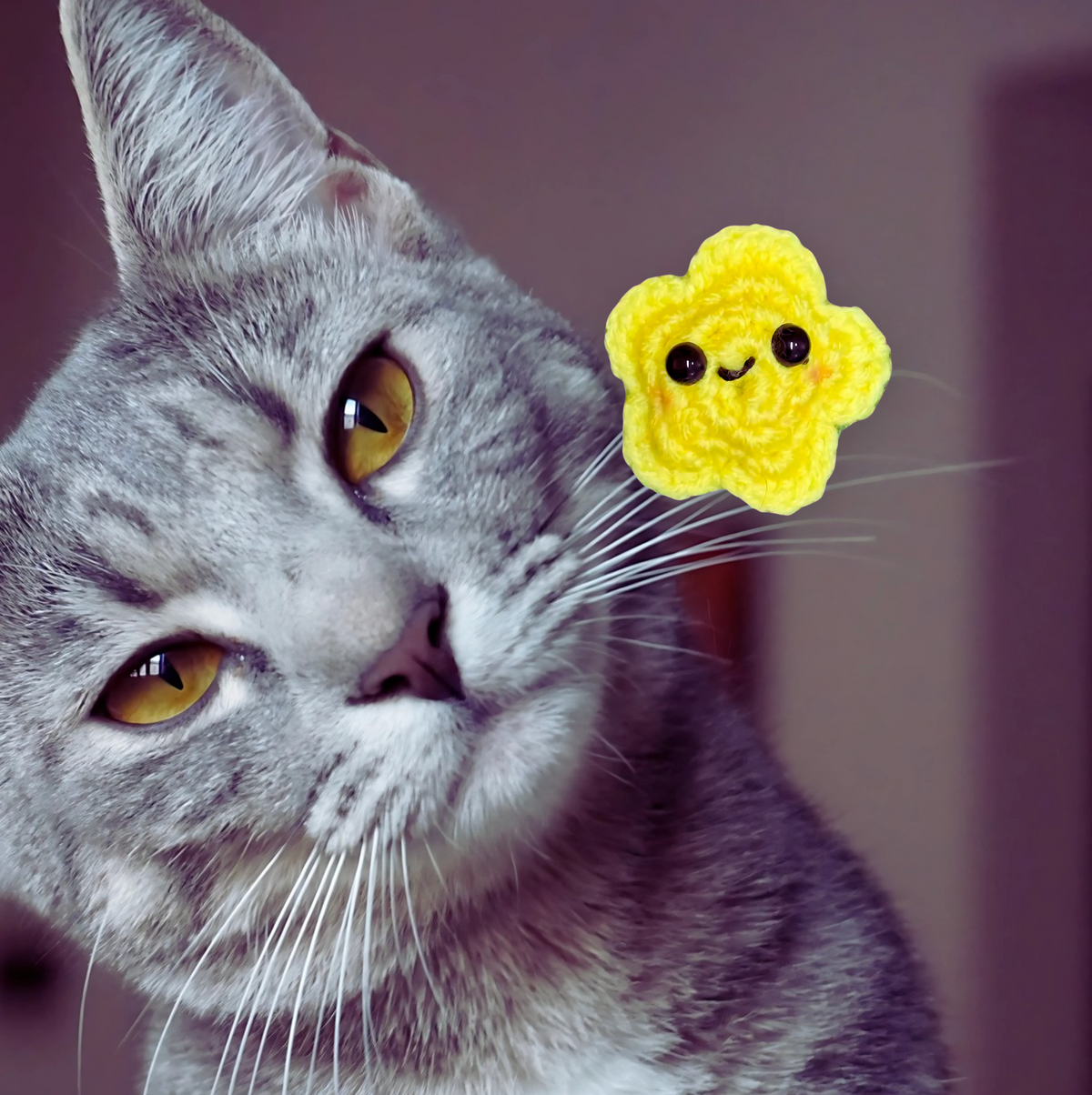 Lifestyle image of Twila L'Etoile star shaped catnip alternative cat toy with interested grey tabby cat