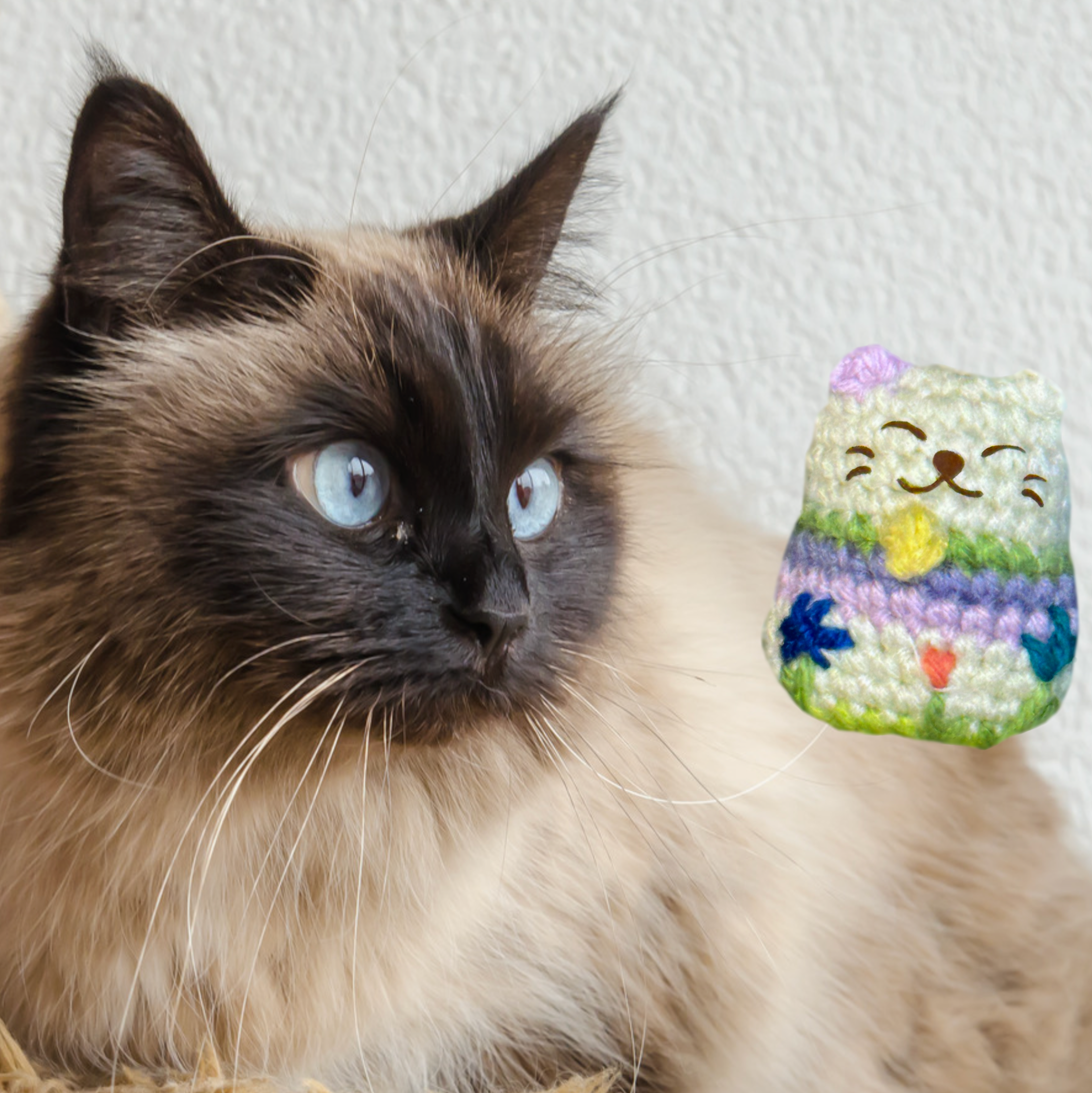 Blue-eyed long-haired cat gazing at woven lucky cat toy, rounded shape and soft textured surface designed for stalking, batting, and carrying, artisan Chunkle & Puff cat toy infused with Miracle Nip catnip alternative with valerian